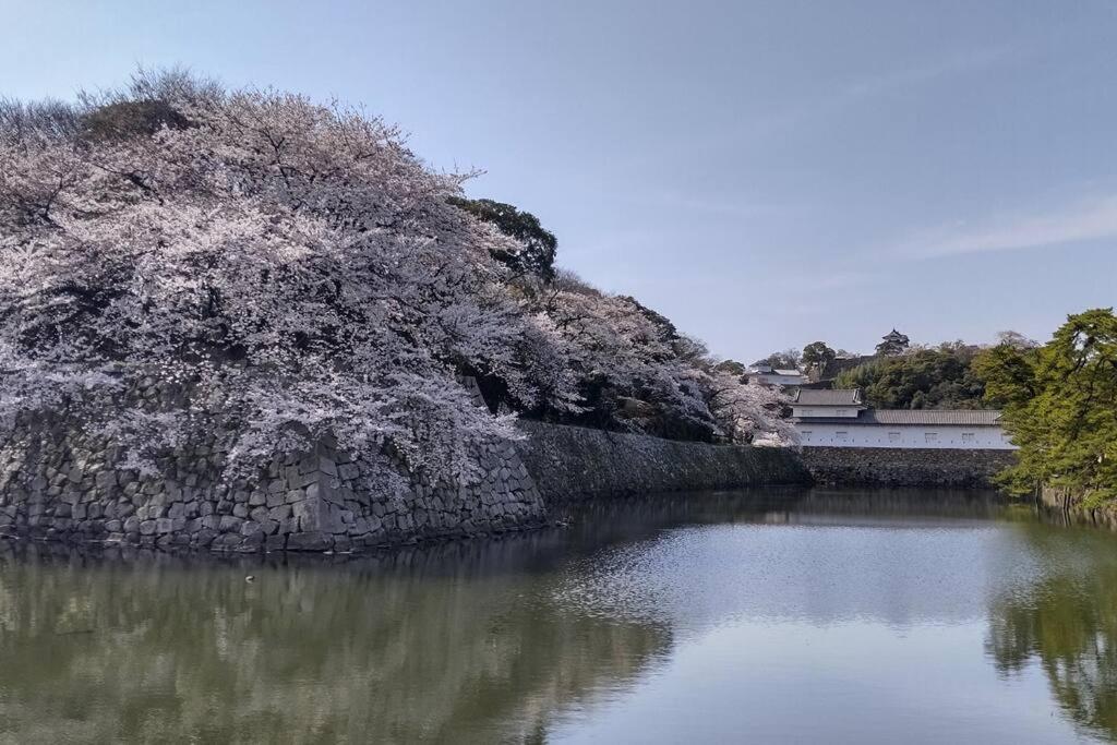 Villa Hikone Castle Exterior foto